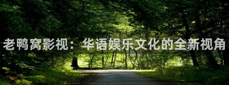 91色七七影院：老鸭窝影视：华语娱乐文化的全新视角