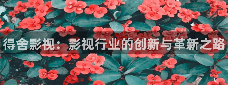 七七影院大全在线看剧：得舍影视：影视行业的创新与革新之路