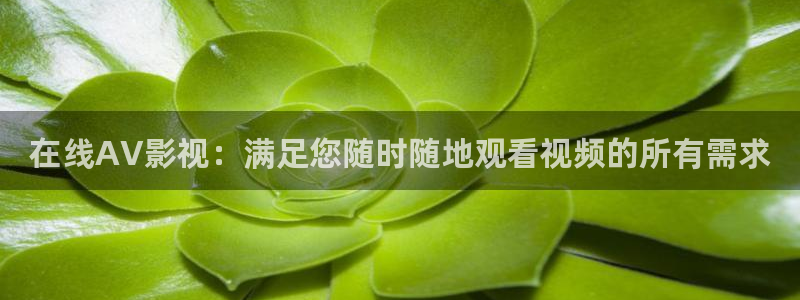 七七影视免费观看完整版