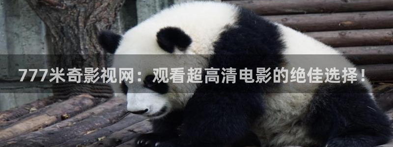 七七影院网址