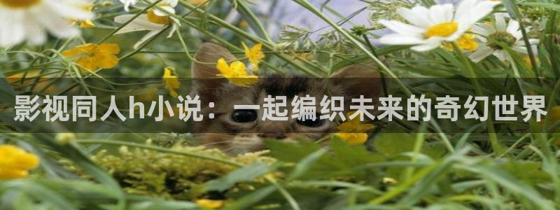 色七七影院成人