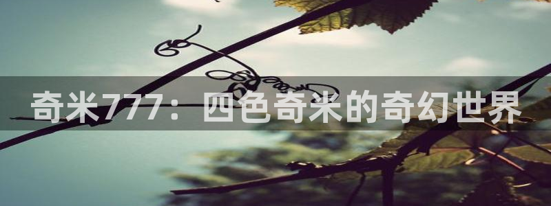 七七影视大全最新版